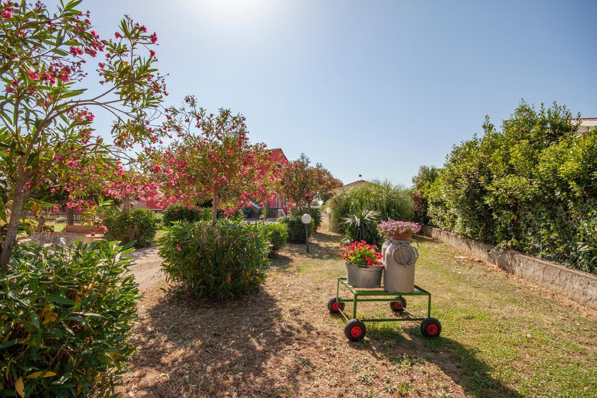 מונטאלטו די קסטרו Agriturismo L'Istrice Di Gio מראה חיצוני תמונה