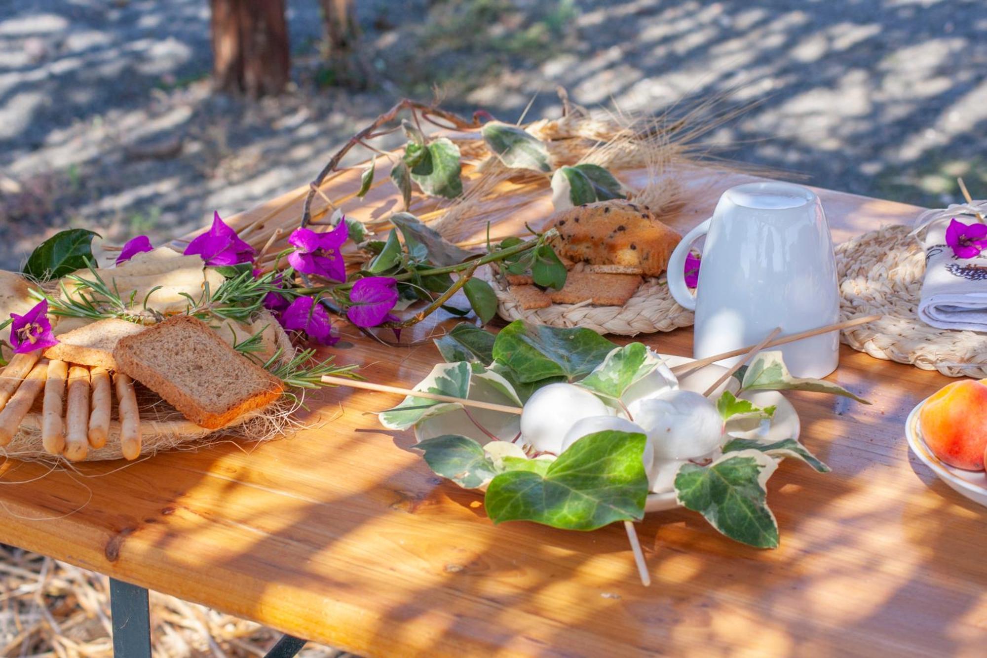 מונטאלטו די קסטרו Agriturismo L'Istrice Di Gio מראה חיצוני תמונה